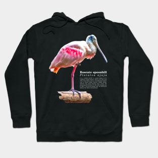 Roseate spoonbill tropical bird white text Hoodie